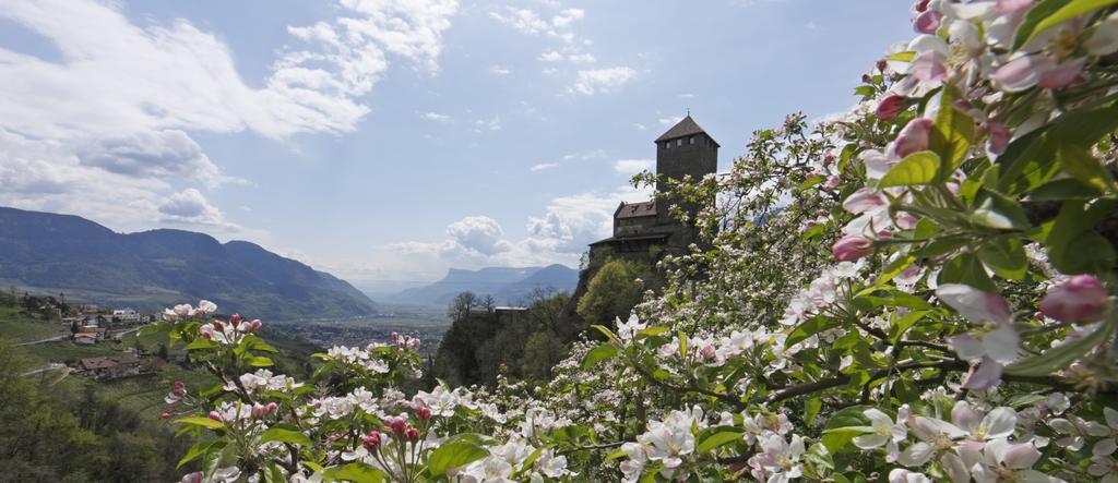 Hotel Zum Tiroler Adler Экстерьер фото